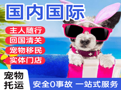 王村机场托运国际宠物托运 【国